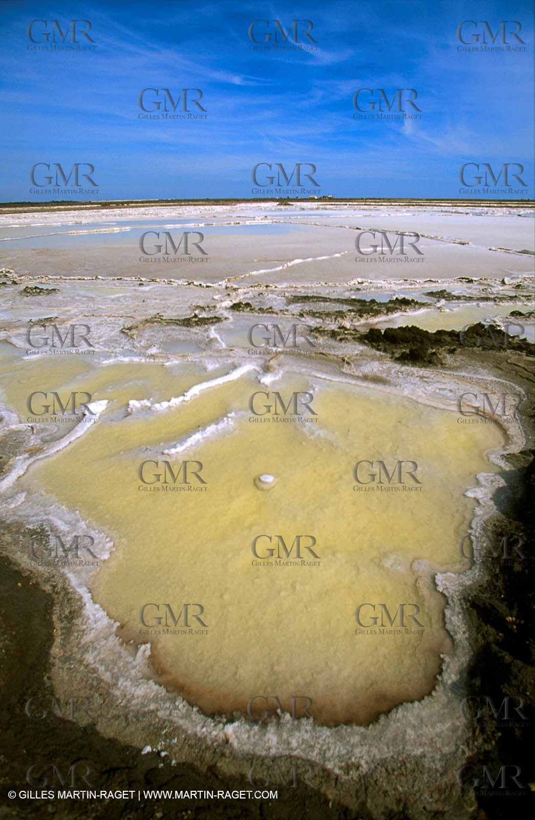 Salt-water marsh