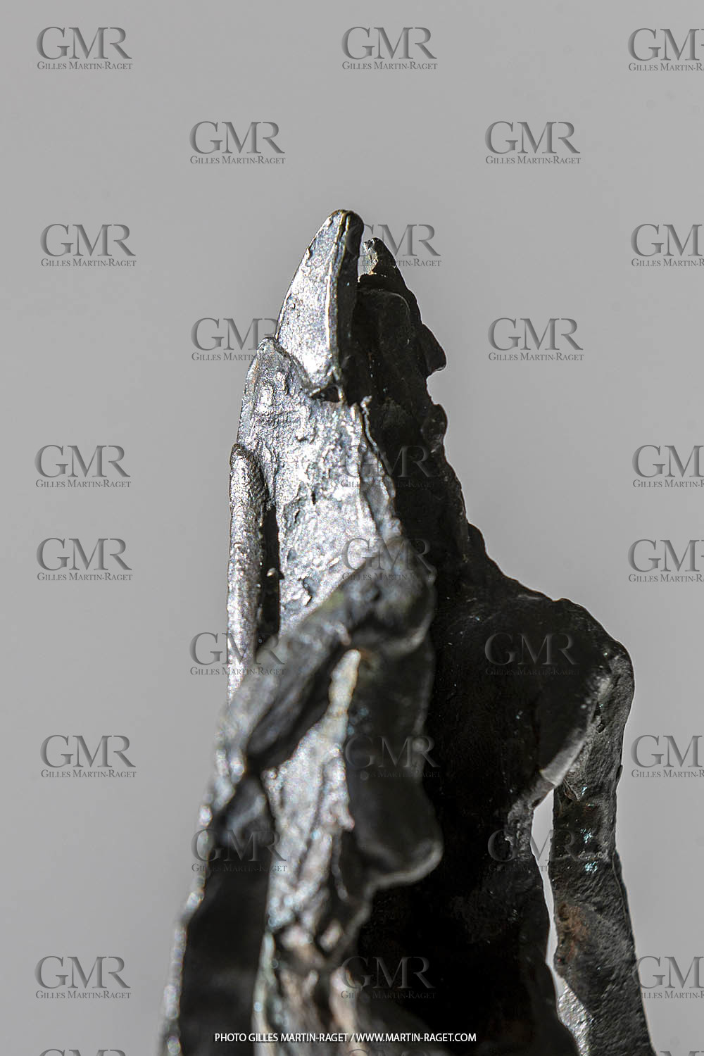 19 02 2020, Marseille (FRA), oeuvre de Germaine Richier, Chauve-souris 1965, Bronze patiné foncé, Numéroté 7 8, Fondeur L.Thinot, Paris, 15 x 11,2 x 7,5 cm, Collection Famille Germaine Richier