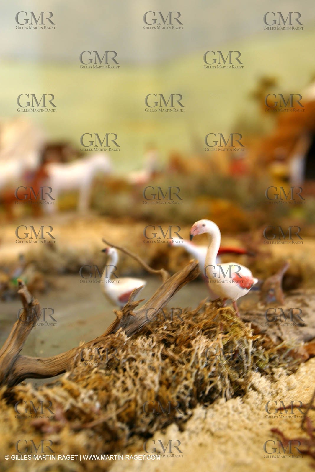 Great crib from les Saintes Maries de la mer (FRA, 13) for Christmas, December 2010