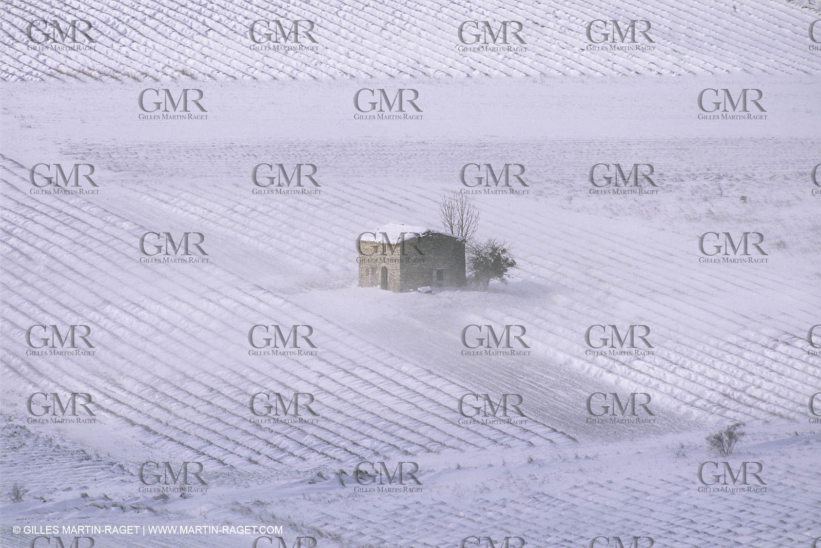 France, Provence, Neige en hiver   Snow in Provence