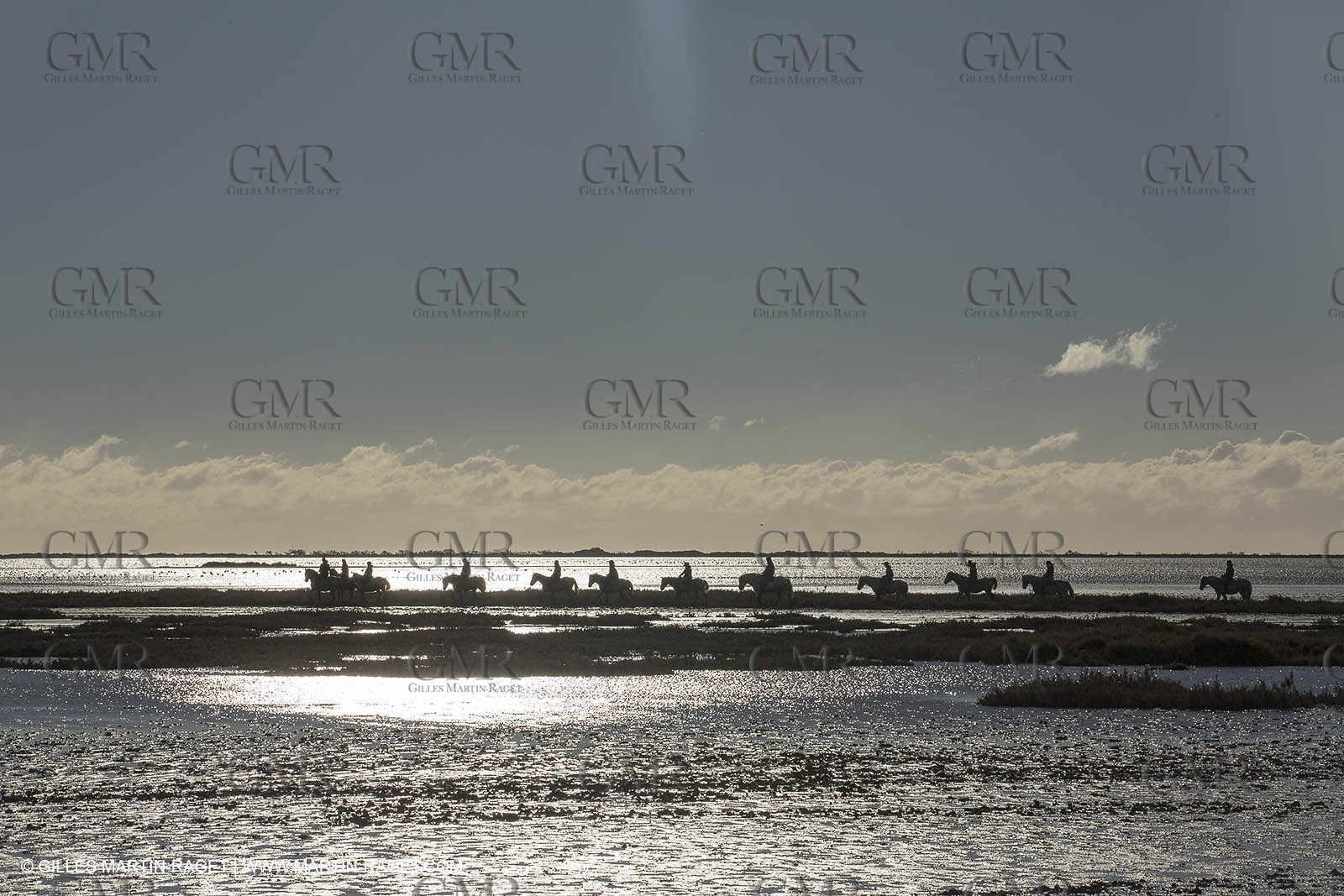 26 12 2013 - Les Saintes Maries de la Mer (FRA,13) - Horse riding at Cabanes de Cacharel
