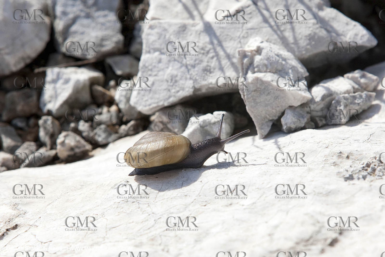 16 04 2009 - Marseille (FRA, 13) - Les Calanques