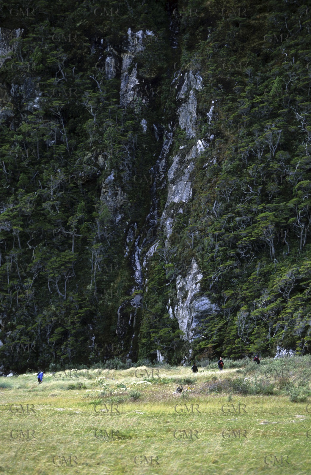 Patagonia