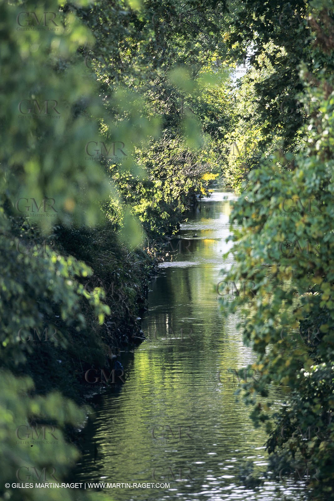 Nimes Metropole landscapes (FRA,30)