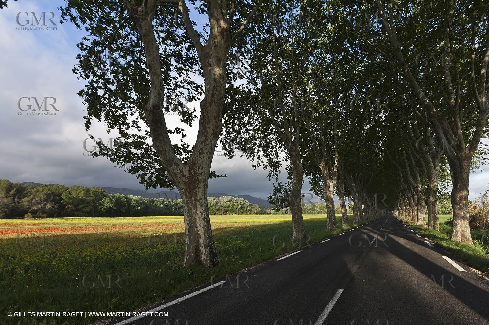 29 04 2012 ( Saint Rémy de Provence (FRA, 13) - Chaîne des Alpilles vers Romanin