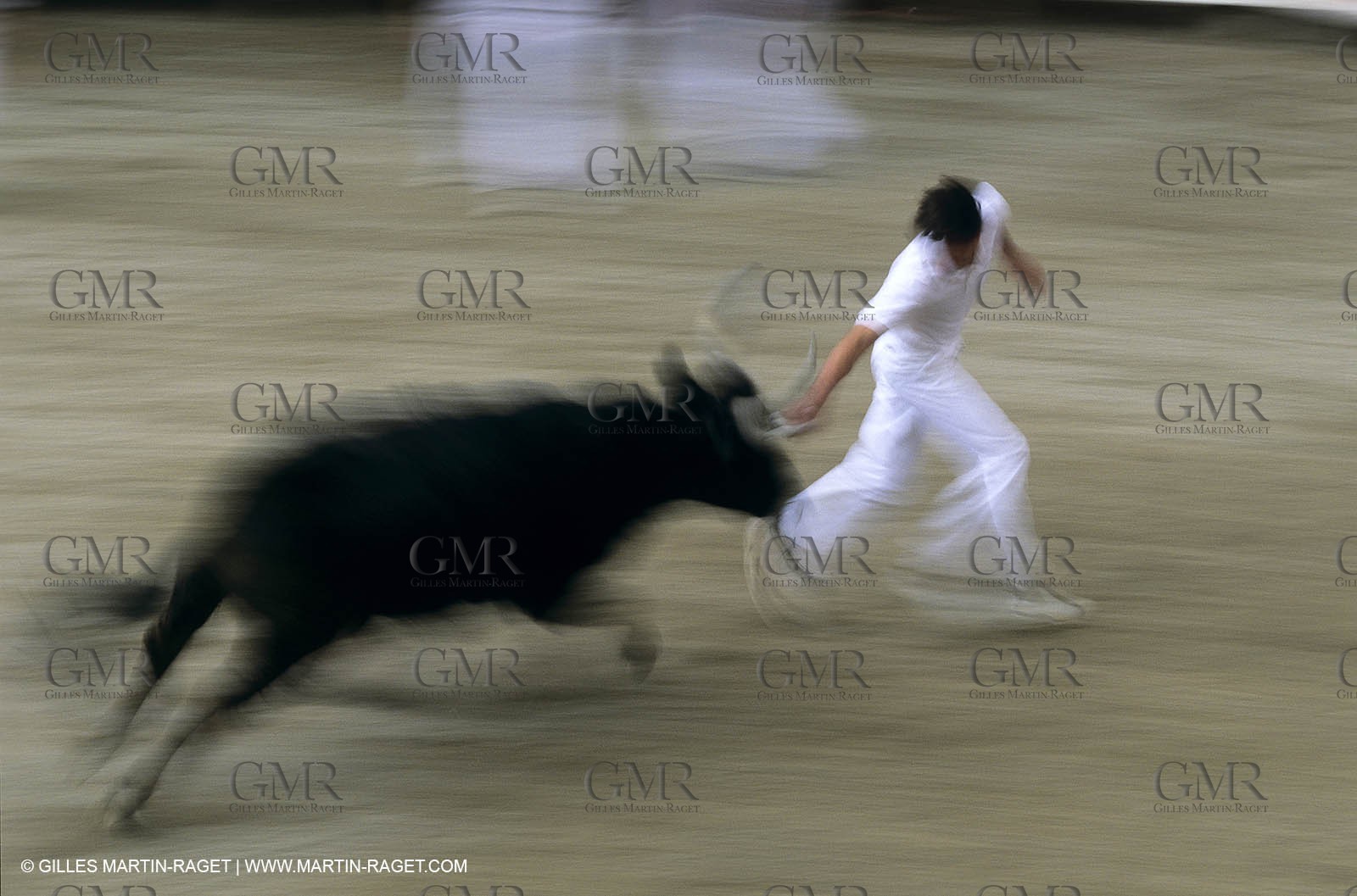 Gard, (FRA,30) - Camargue bull game