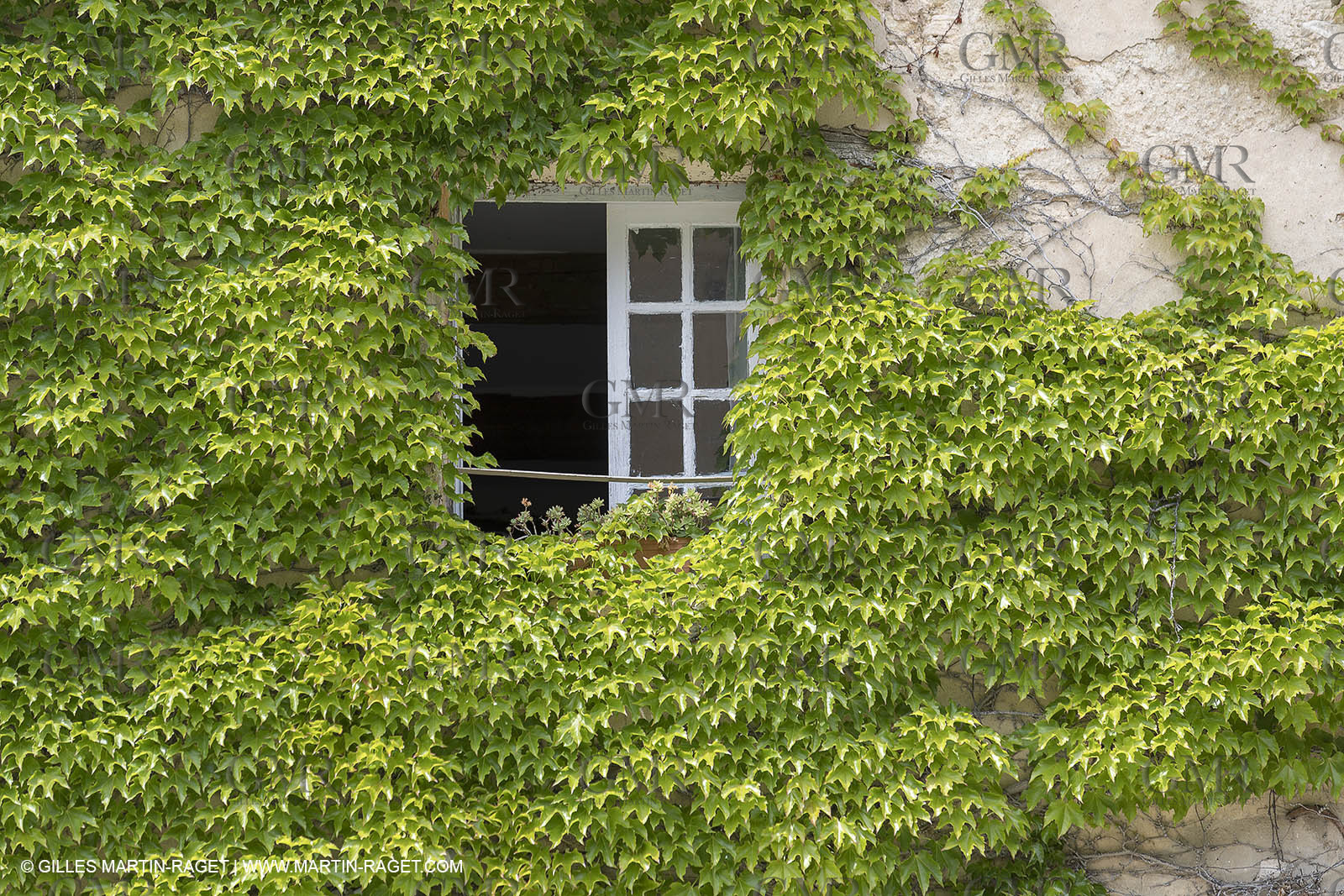 10 06 2018, Saignon (FRA,84)