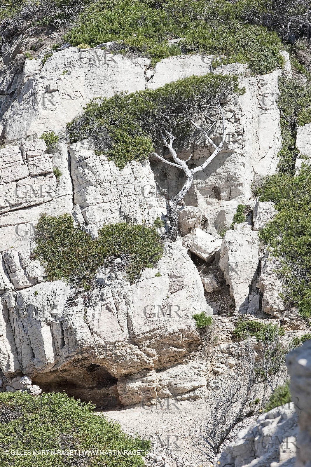 20 05 2009 - Marseille (FRA, 13) - Les Calanques - Calanque des Cairons