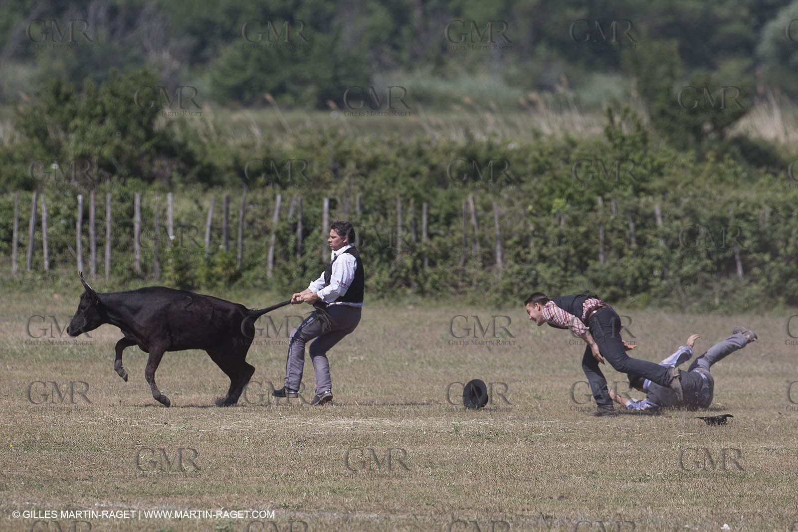 Course de Satin 2014 - Arles (FRA,13) - 1 06 2014**The satin race - Arles (FRA,13) - 01 06 2014