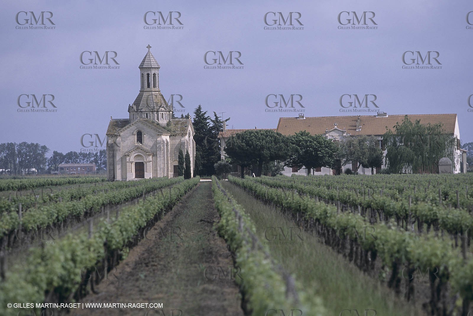 France, Provence, Camargue