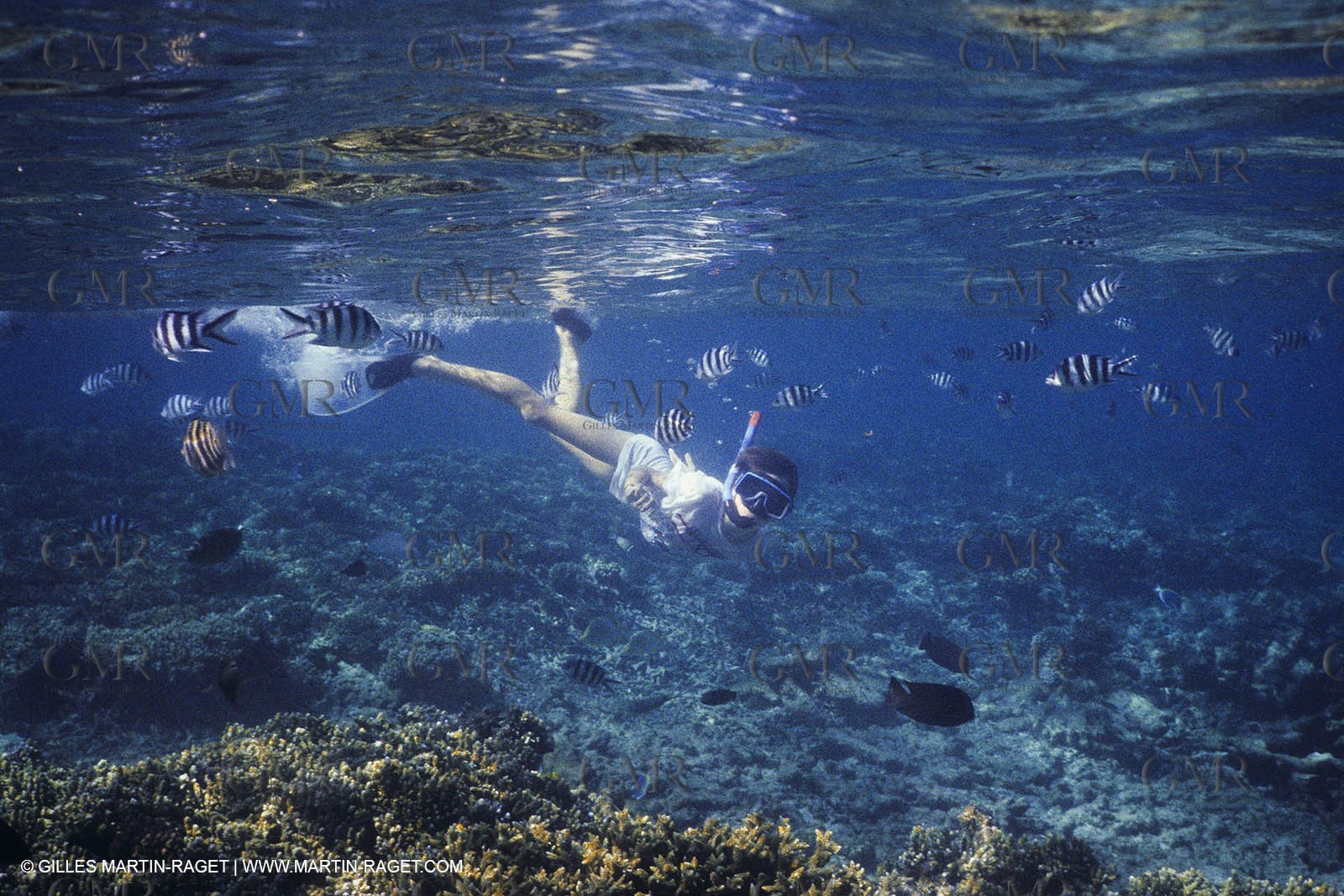 Sailing, cruising, people