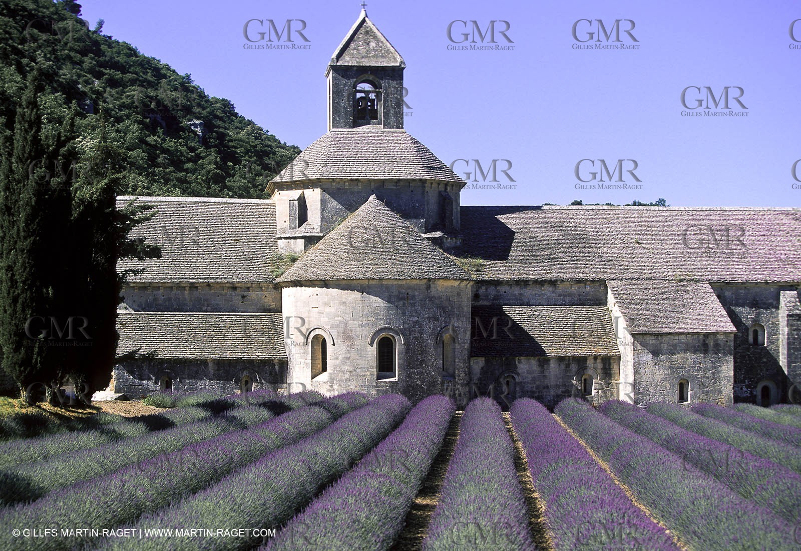 Hgher Provence - Lavender fields