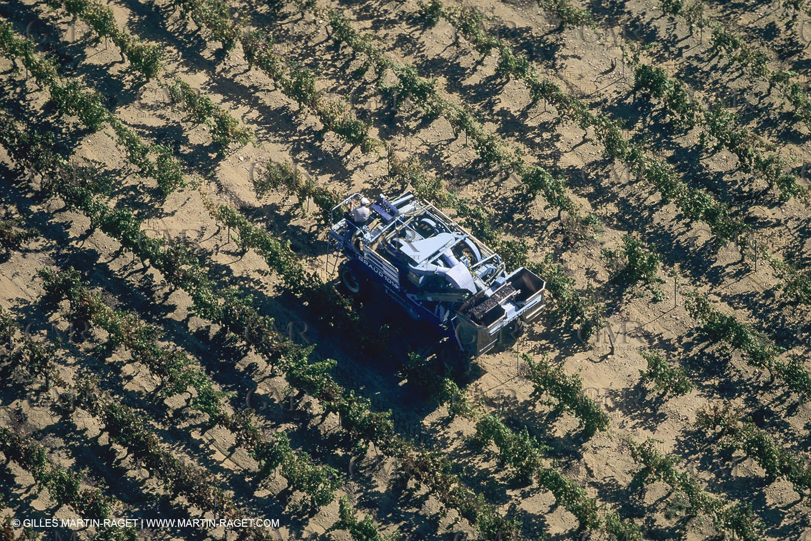 Vin, Vigne , Vendanges, vignification, vignobles, France, Provence, Côte du Rhône, Rosé