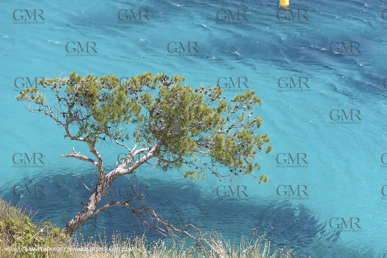 27 05 2009 - Marseille (FRA, 13) - Les Calanques - Sormiou