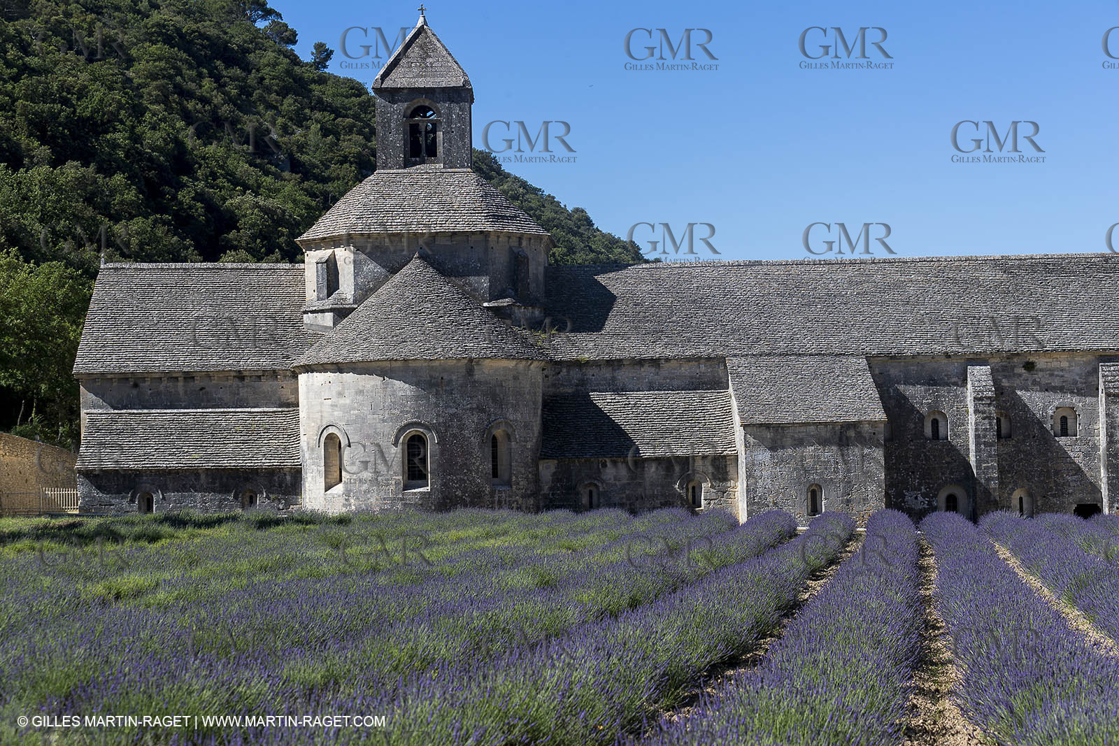 25 06 2018, Gordes (FRA,84), Abbaye de Sénanque