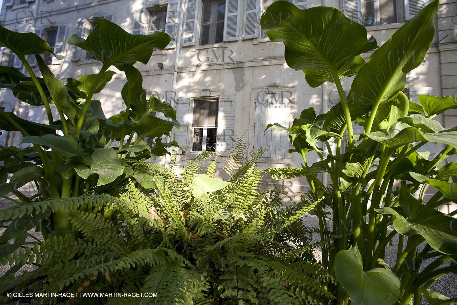 28 10 2007 - St Rémy de Provence (FRA,13) - Chateau des Alpilles