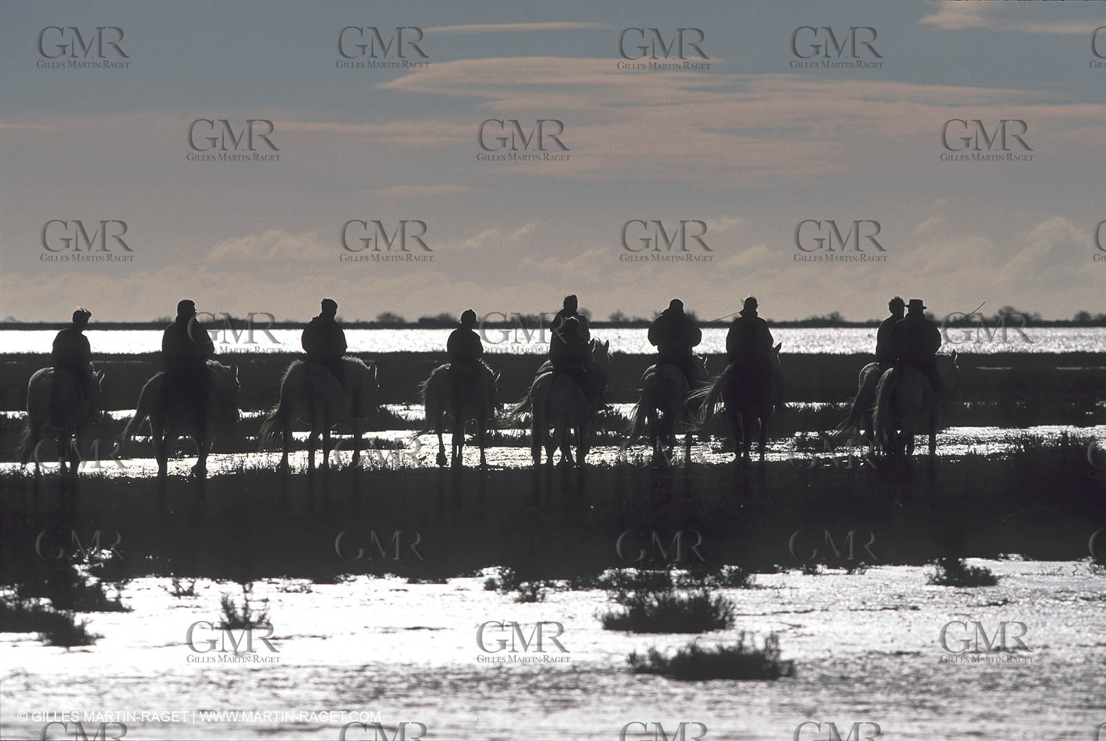 Arles - Camargue gardians (cow boys) at work