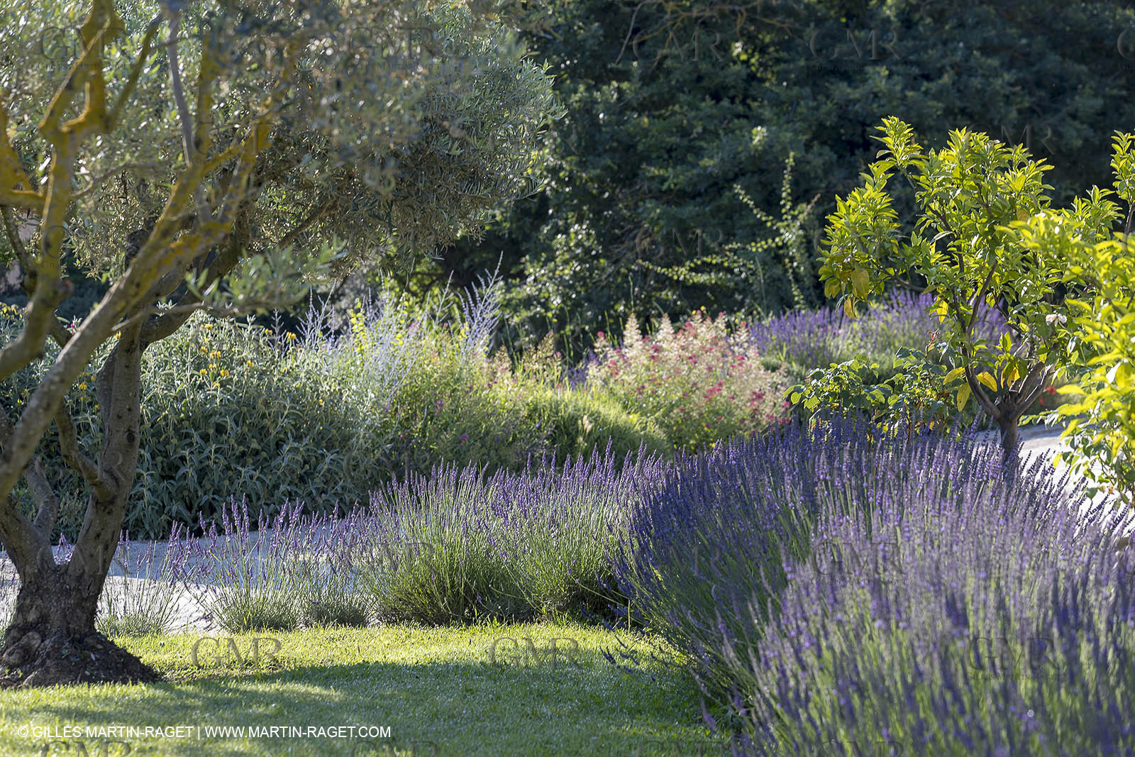 20 06 2018, Ménerbes (FRA,84), La Bastide de Marie