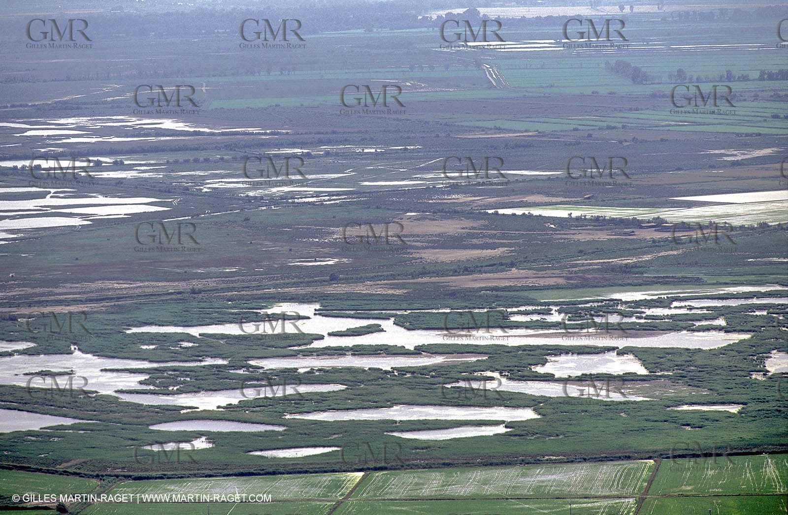 Ponds from Camargue