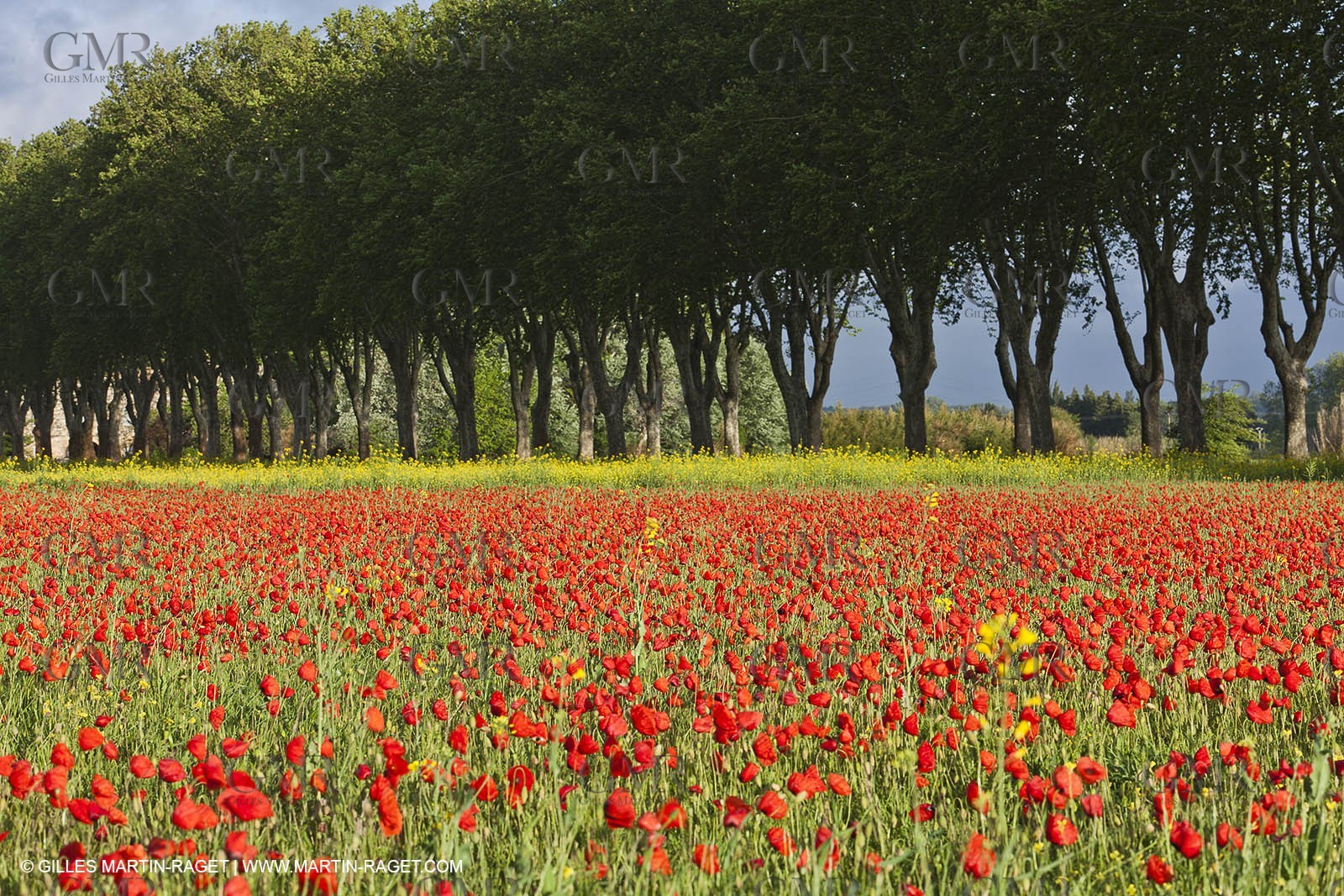 29 04 2012 ( Saint Rémy de Provence (FRA, 13) - Chaîne des Alpilles vers Romanin