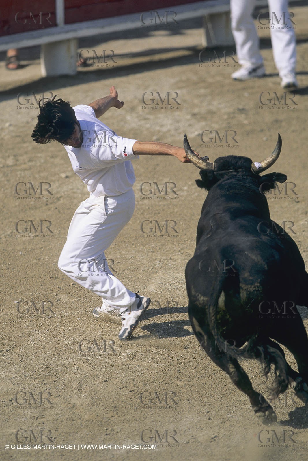 France, Provence, Camargue, course libre, bull games
