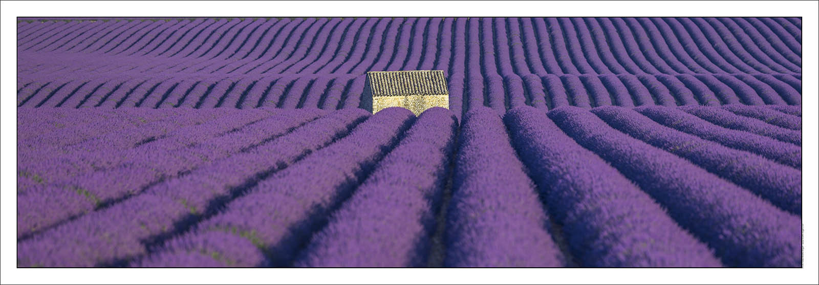 Product: in house made quality print on 8 ultrachome colors Epson ink Jet printer.Available sizes: . 20x 60 cm. 33 x 95 cm. 52 x 150 cmAvailable papers: . Standard 250 gr glossy paper print, black streak, white margin, no signature. Top quality glossy 290 gr. paper, black streak, white margin, checked and signed by the author. Fine Art print (signed, numbered, stamped, registered) on demand. Other supports (Canvas, Acrylic, Metal) on demandPackaging: cylindric reinforced tubeShipping options: regular mail or Shipping companyClick on the basket icon to select your options and start the online ordering process