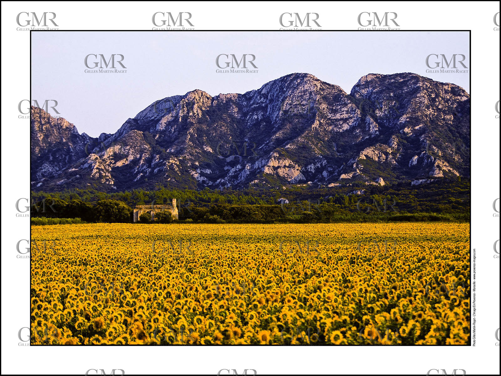 Produit : Tirage photo réalisé par nos soins sur imprimante jet d'encre professionnelle Epson à partir de 8 encres ultrachrome inaltérables (label Digigraphie).Formats au choix : . 30x40 cm. 50x70 cm. 80x120 cm.Choix des papiers :. Papier standard brillant 250 gr., filet noir, marge blanche, tirage non signé. Papier haut de gamme satiné 290 gr. filet noir, marge blanche, tirage vérifié et signé par l'auteur.. Autres supports (canvas, acrylique, dibond) sur demandeConditionnement : tube cylindrique renforcé.Options pour l'expédition : . colissimo + dépôt boîte aux lettres (France uniquement). Colissimo avec signature à réception. Transporteur express (2 jours ouvrés) avec signature à réceptionCliquez sur caddie pour sélectionner votre formule et démarrer la procédure de commande en ligne