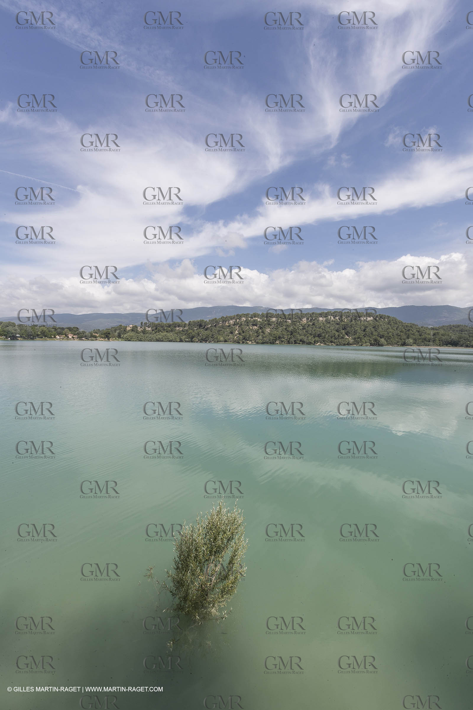 02 06 2018,La Motte d'Aigues, Etang de la Bonde