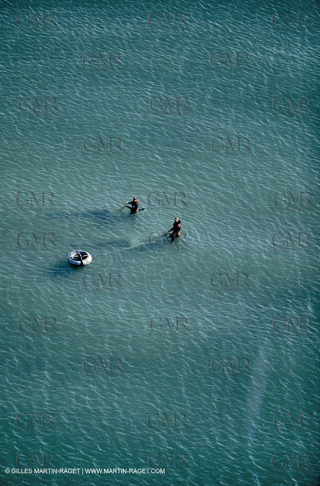 Telline seafarers on Camargue beaches