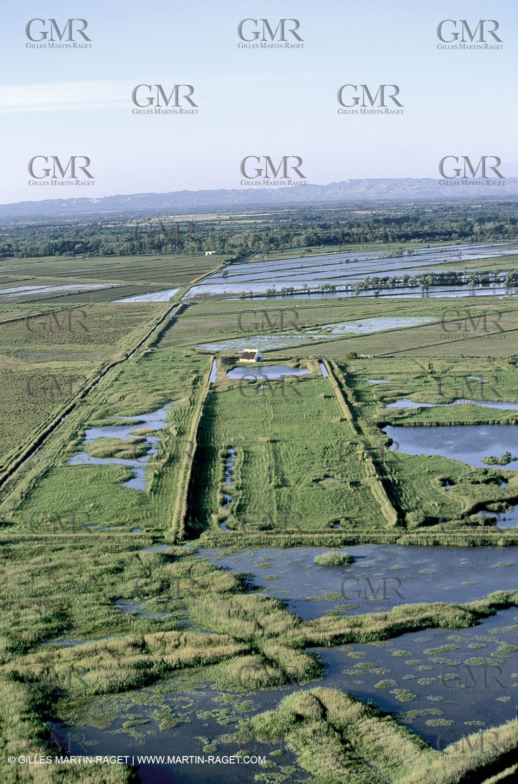 Ponds from Camargue