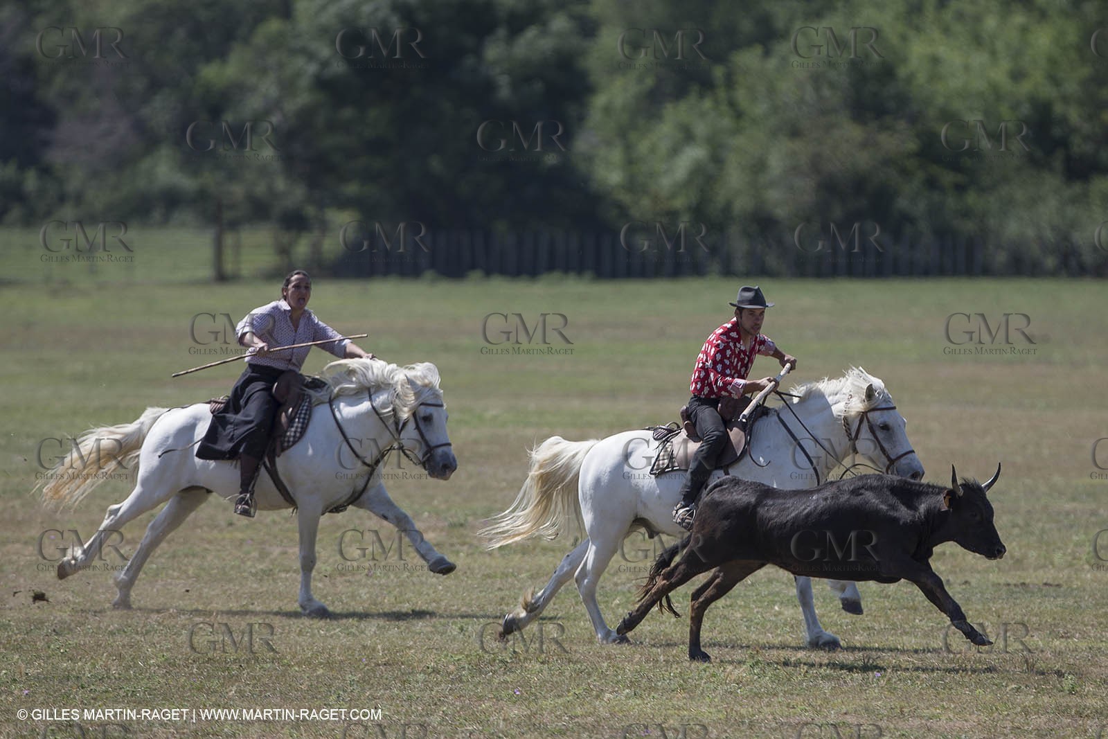 Course de Satin 2014 - Arles (FRA,13) - 1 06 2014**The satin race - Arles (FRA,13) - 01 06 2014