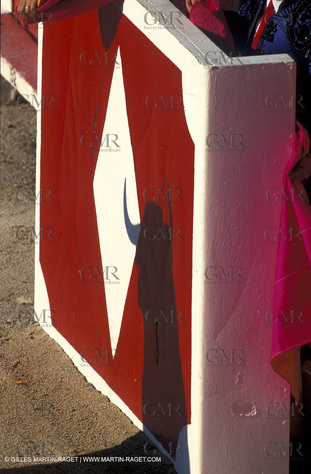 Toros