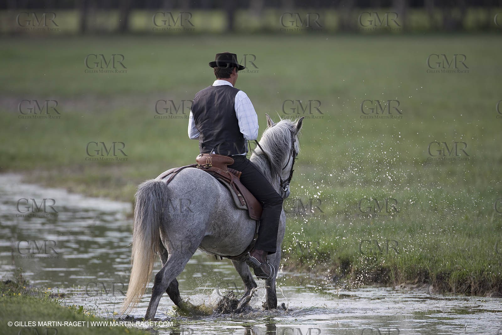 07 05 2008 - Le Cailar (FRA,30) - Stock work at Mas du Pont de Laute domain