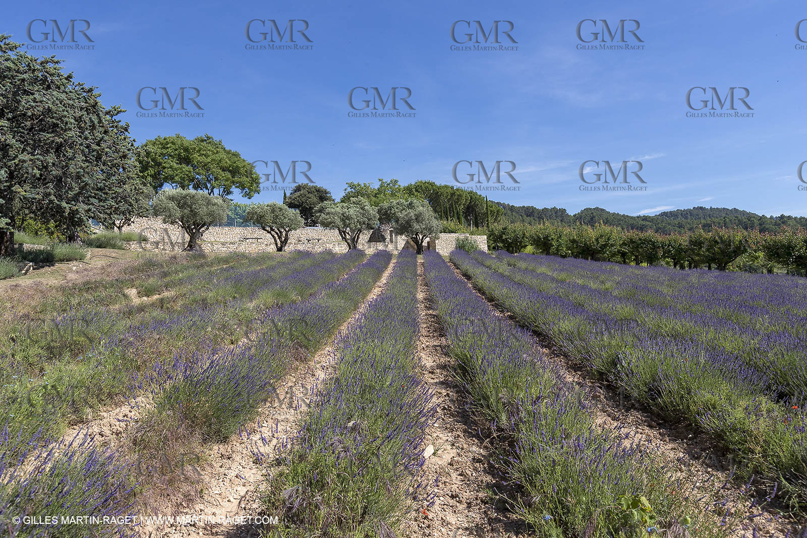 22 06 2018, Saint-Saturnin les Apts (FRA,84), Domaine des Andéols
