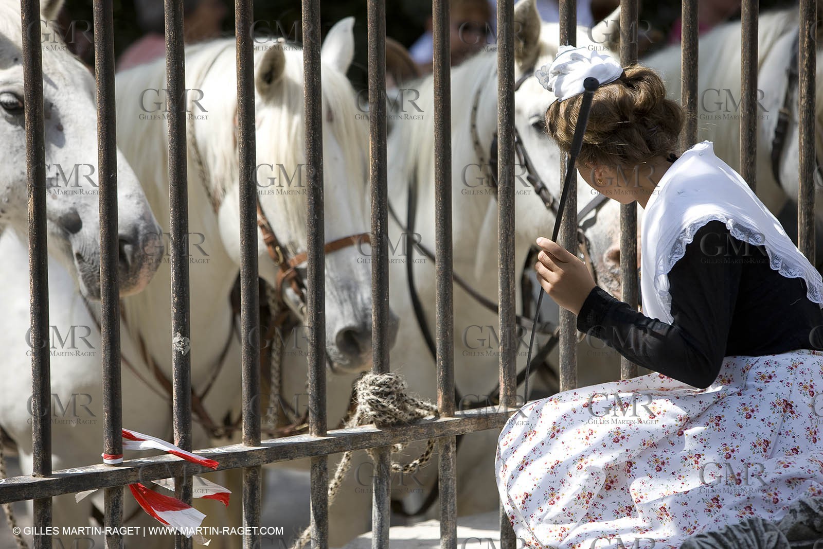 06 06 08 - Arles (FRA,13) - Fête du Costume
