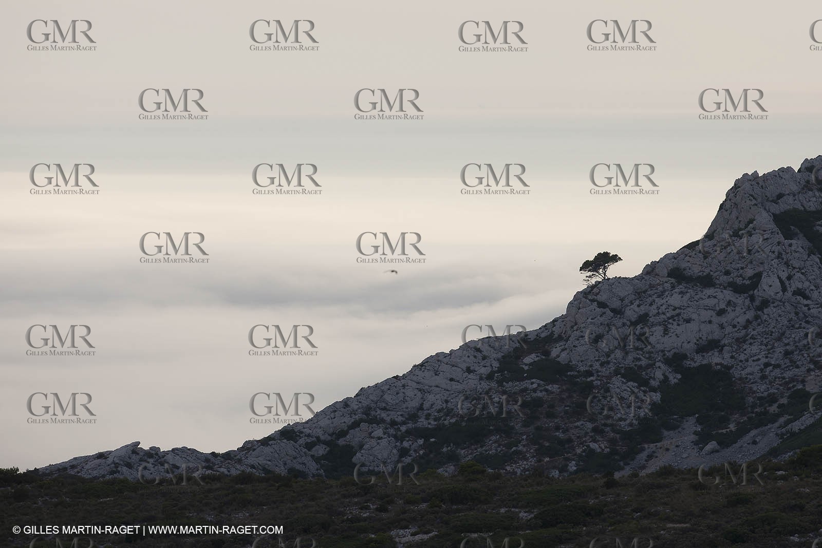 18 07 2012 - Marseille  (FRA ) - Les Calanques -  Phénomène d'entrées maritimes - La Nèble (brume, en provençal)