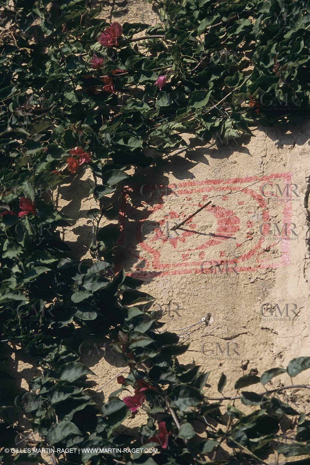 France, Provence, Iles d'Hyères, Porquerolles