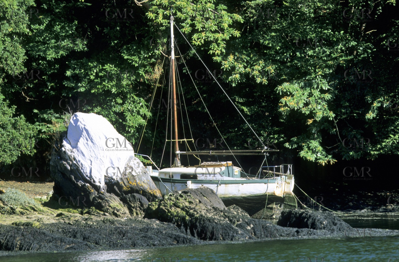 Odet river - Britanny