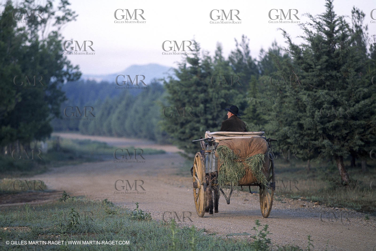 Saint Rémy de Provence (FRA,13) - Sheep stocks migration Fest
