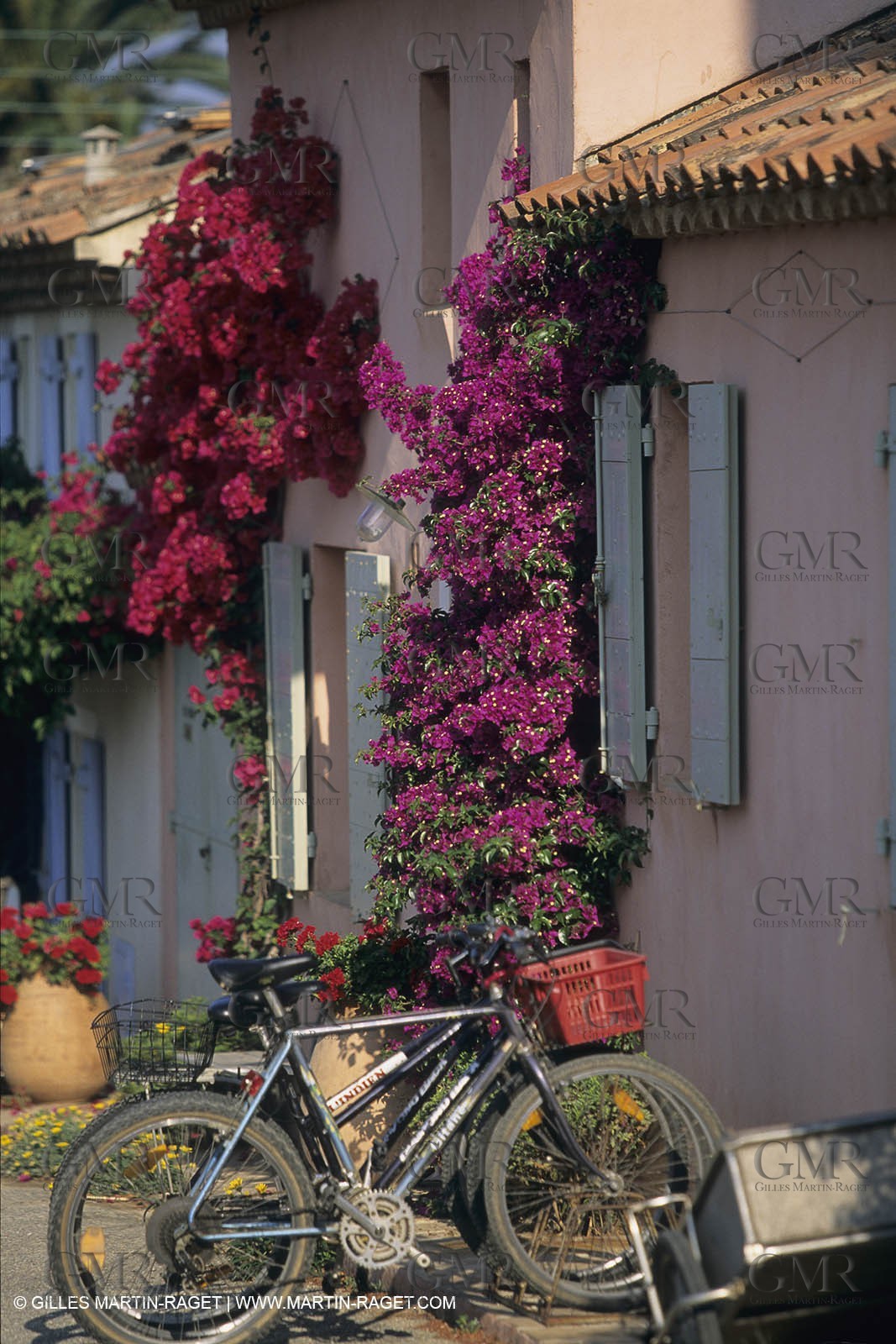 France, Provence, Iles d'Hyères, Porquerolles