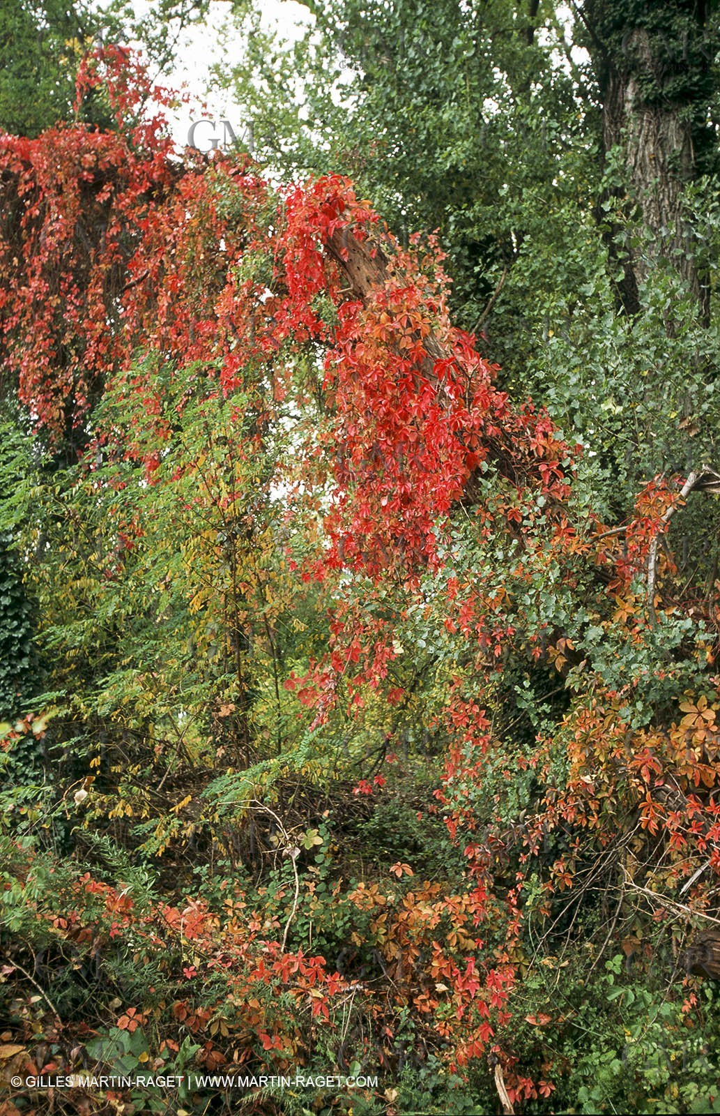Paysages de Nîmes Métropole (FRA,30) - La Gardonenque