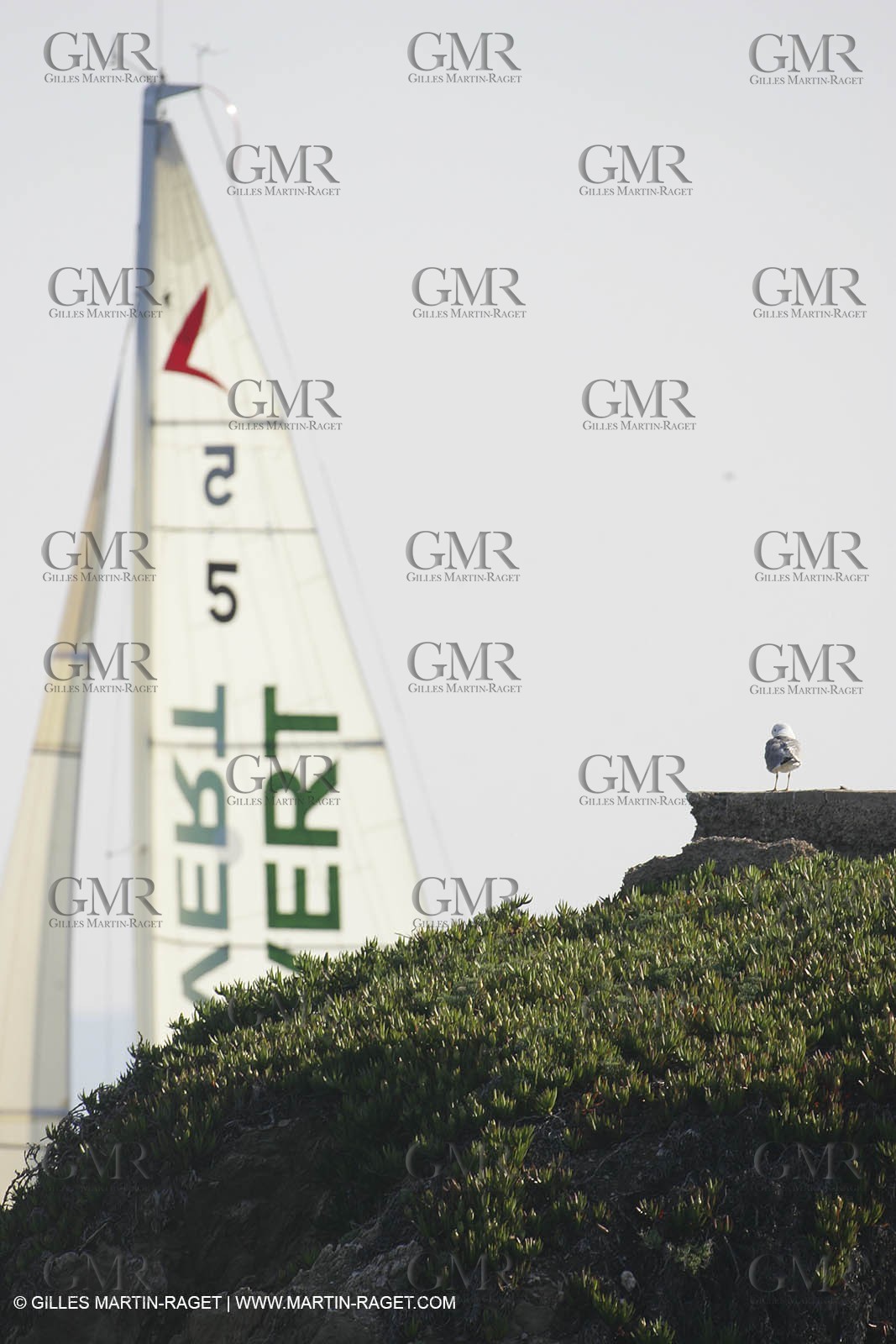 Generali Solo 2005 - Arrivées à Hyeres