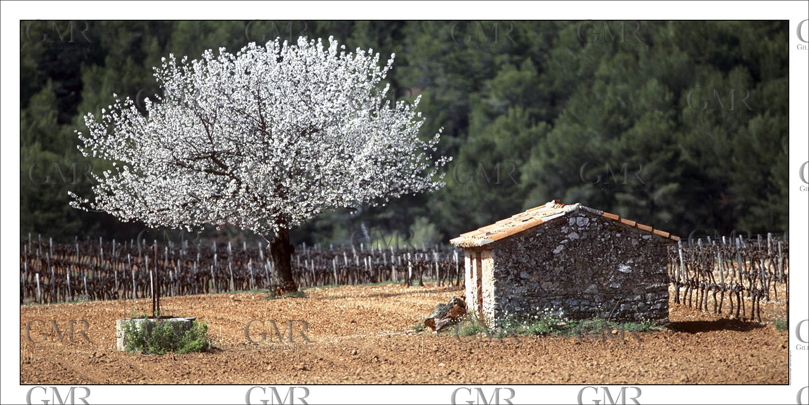 Produit : Tirage photo réalisé par nos soins sur imprimante jet d'encre professionnelle Epson à partir de 8 encres ultrachrome inaltérables (label Digigraphie).Formats au choix : .. 50 x 100 cm. 100 x 200 cmChoix des papiers :. Papier standard brillant 250 gr., filet noir, marge blanche, tirage non signé. Papier haut de gamme satiné 290 gr. filet noir, marge blanche, tirage vérifié et signé par l'auteur.. Autres supports (canvas, acrylique, dibond) sur demandeConditionnement : tube cylindrique renforcé.Options pour l'expédition : . colissimo + dépôt boîte aux lettres (France uniquement). Colissimo avec signature à réception. Transporteur express (2 jours ouvrés) avec signature à réceptionCliquez sur caddie pour sélectionner votre formule et démarrer la procédure de commande en ligne