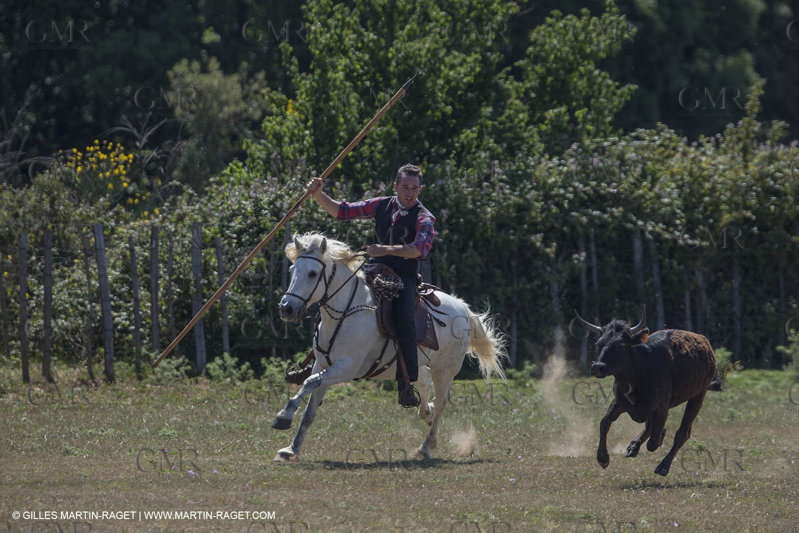Course de Satin 2014 - Arles (FRA,13) - 1 06 2014**The satin race - Arles (FRA,13) - 01 06 2014