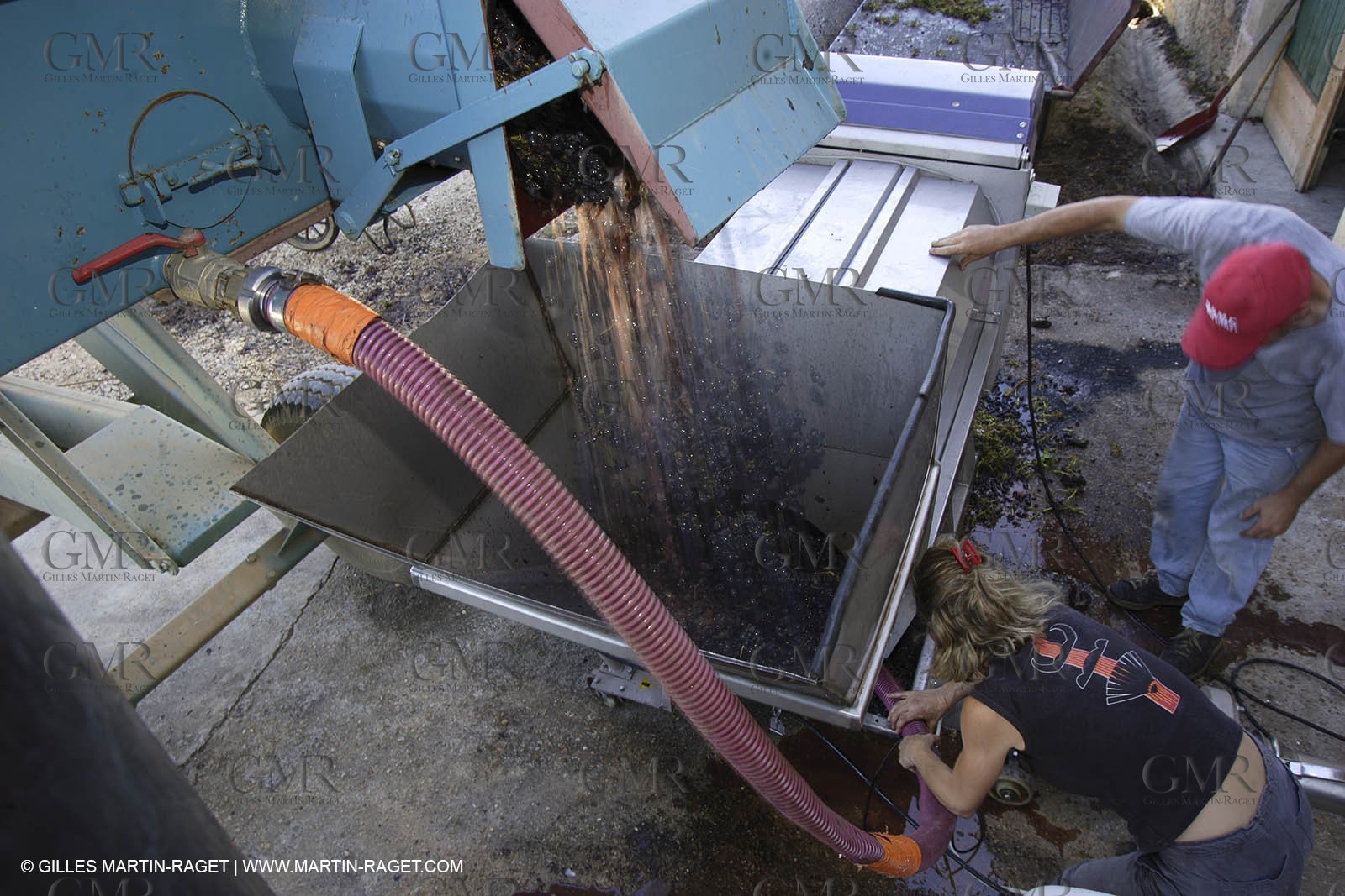 Harvest - D'or et de Gueule castle