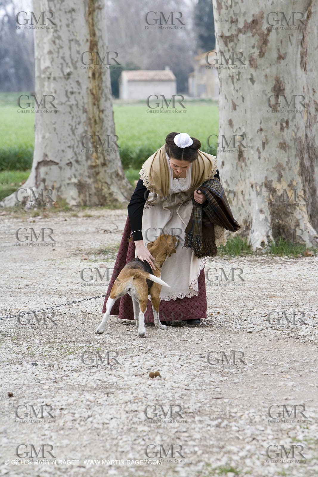 18 02 2007 - Saint Rémy de Provence - Queen of Arles in the Alpilles