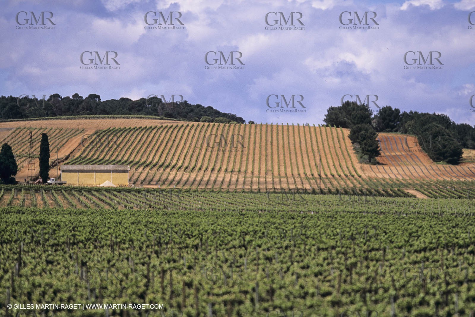 France, Languedoc Roussillon, Costières de Nîmes