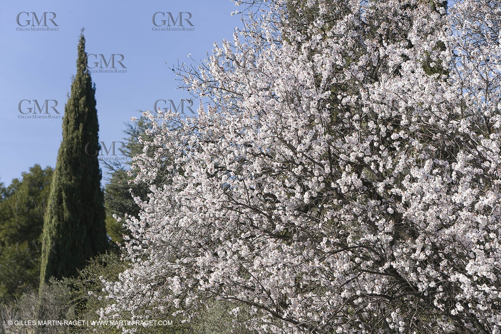 05 02 2008 - Arles (FRA, 13) - Arles surroundings landscapes