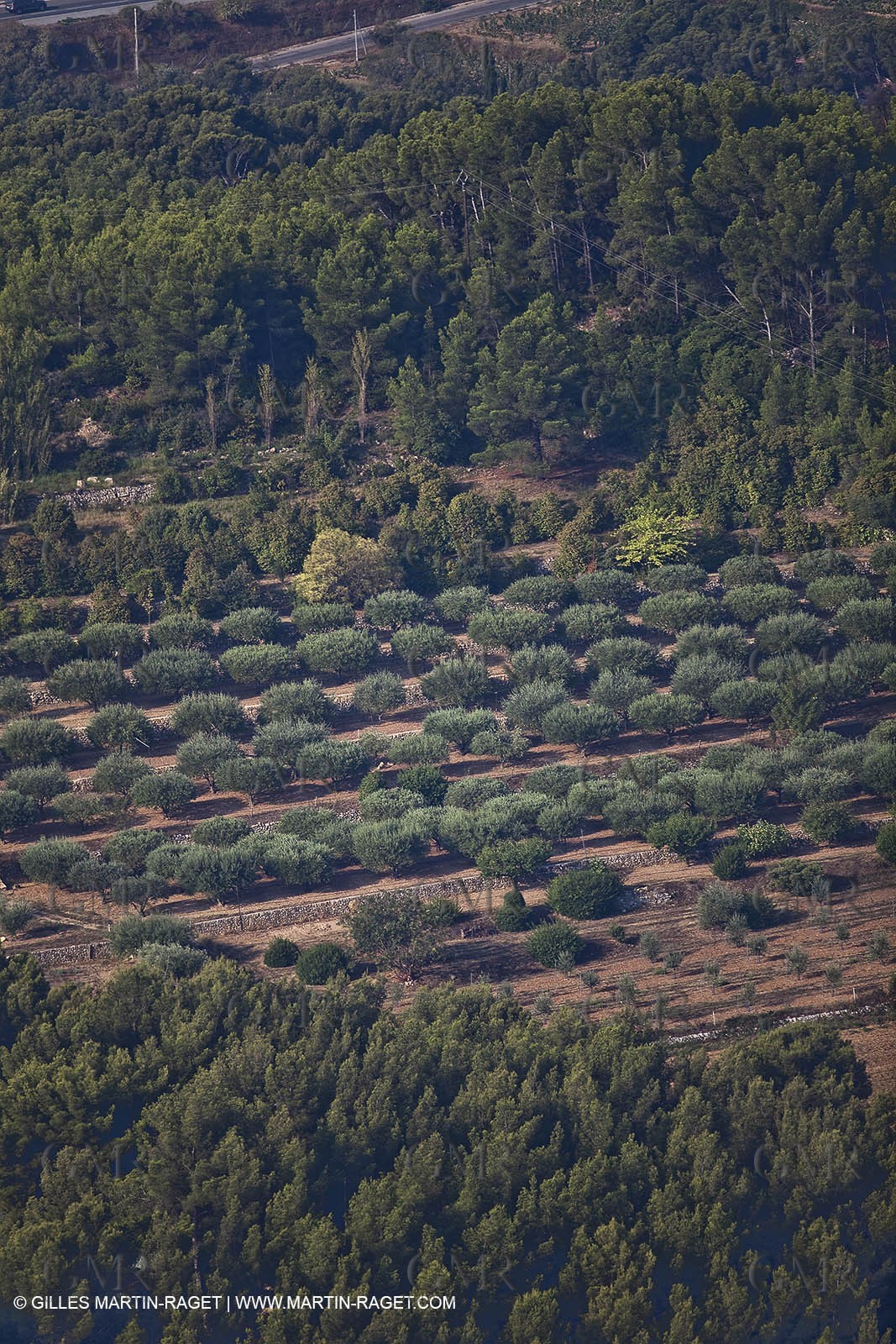 28 08 2009 - Sanary sur mer (FRA,83)