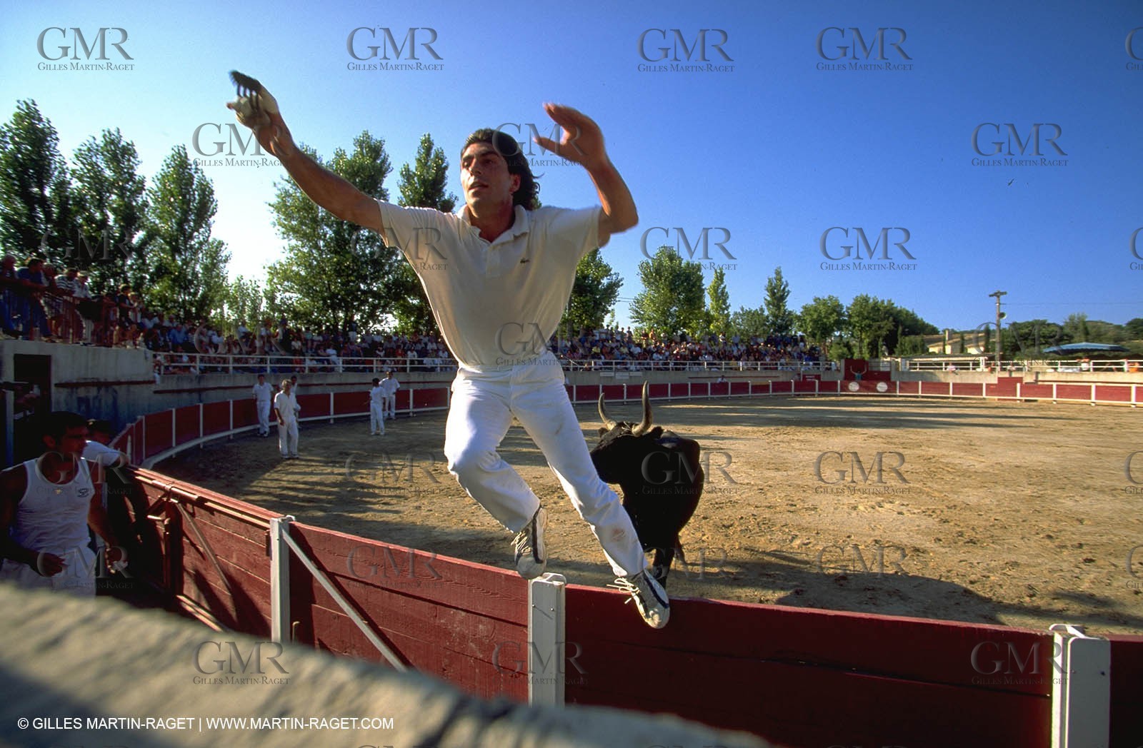 Camargue Bull game